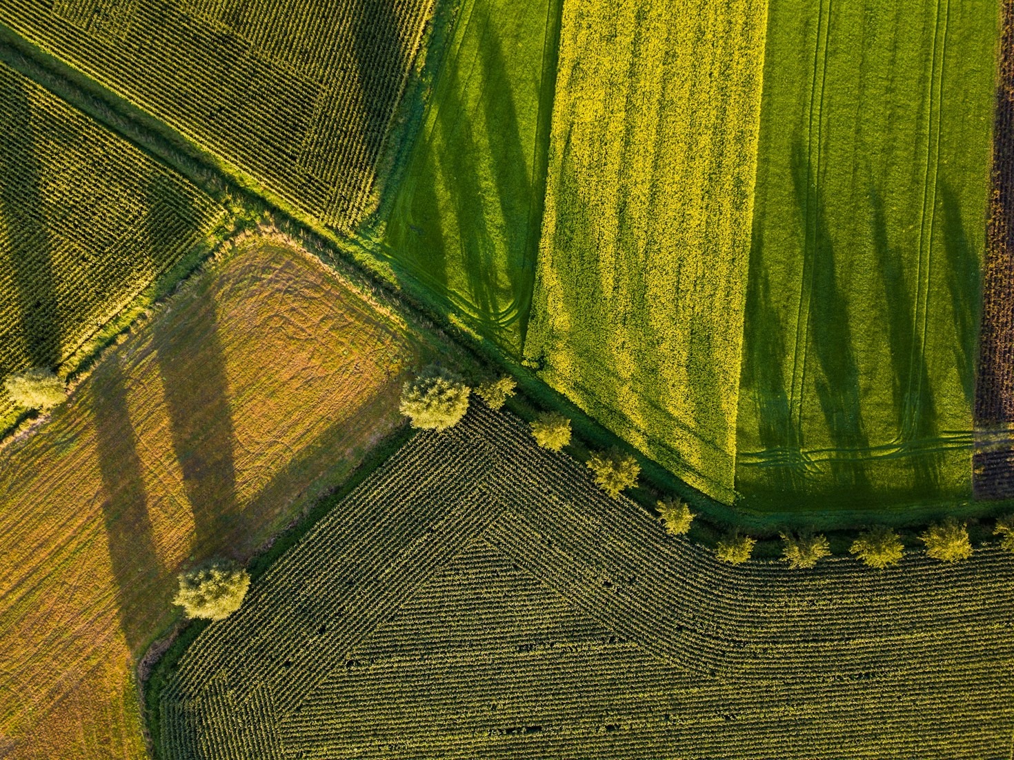 Entenda as mudanças recentes na legislação ambiental